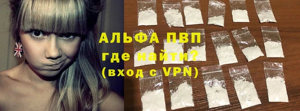 индика Михайлов