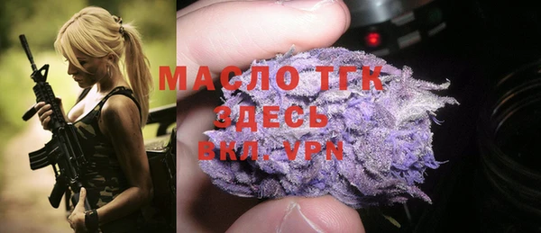 индика Михайлов
