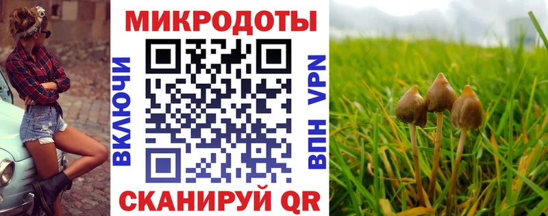 Галлюциногенные грибы Magic Shrooms  hydra   Орлов 